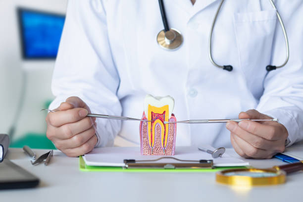 Best Pediatric Emergency Dentist in Silver Lakes, CA